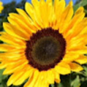 Meet your Posher, Eileen